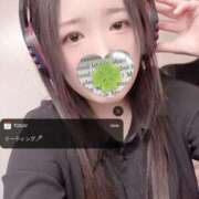 ヒメ日記 2026/01/14 20:00 投稿 ミモザ 飾窓