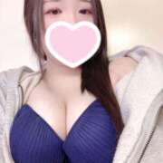 ヒメ日記 2026/01/15 08:30 投稿 ミモザ 飾窓