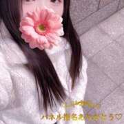 ヒメ日記 2026/01/16 22:50 投稿 ミモザ 飾窓