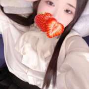 ヒメ日記 2026/01/19 13:00 投稿 ミモザ 飾窓