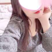 ヒメ日記 2026/01/21 21:00 投稿 ミモザ 飾窓