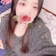 ヒメ日記 2026/01/21 23:34 投稿 ミモザ 飾窓