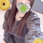 ヒメ日記 2026/01/25 15:00 投稿 ミモザ 飾窓