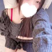 ヒメ日記 2026/01/25 18:00 投稿 ミモザ 飾窓