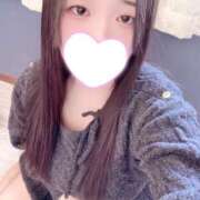 ヒメ日記 2026/01/25 21:00 投稿 ミモザ 飾窓