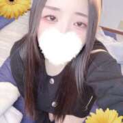 ヒメ日記 2026/01/27 12:00 投稿 ミモザ 飾窓