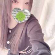 ヒメ日記 2026/01/27 19:10 投稿 ミモザ 飾窓