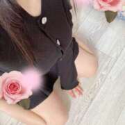 ヒメ日記 2026/01/27 21:01 投稿 ミモザ 飾窓