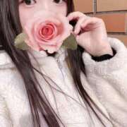 ヒメ日記 2026/01/27 23:21 投稿 ミモザ 飾窓