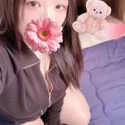 ヒメ日記 2026/01/28 12:00 投稿 ミモザ 飾窓