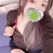 ヒメ日記 2026/01/28 21:16 投稿 ミモザ 飾窓