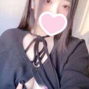 ヒメ日記 2026/01/29 12:00 投稿 ミモザ 飾窓