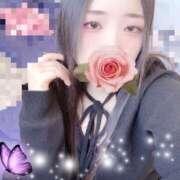 ヒメ日記 2026/01/29 16:40 投稿 ミモザ 飾窓