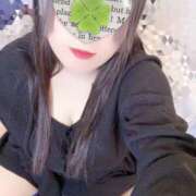 ヒメ日記 2026/01/29 23:43 投稿 ミモザ 飾窓