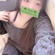 ヒメ日記 2026/01/30 12:00 投稿 ミモザ 飾窓