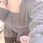 ヒメ日記 2026/01/30 18:03 投稿 ミモザ 飾窓