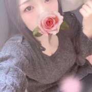 ヒメ日記 2026/01/30 21:10 投稿 ミモザ 飾窓