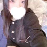 ヒメ日記 2026/01/31 12:01 投稿 ミモザ 飾窓