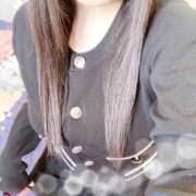 ヒメ日記 2026/01/31 15:00 投稿 ミモザ 飾窓