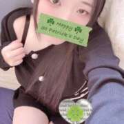 ヒメ日記 2026/01/31 18:00 投稿 ミモザ 飾窓