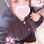 ヒメ日記 2026/01/31 23:15 投稿 ミモザ 飾窓