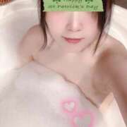 ヒメ日記 2026/02/02 13:15 投稿 ミモザ 飾窓