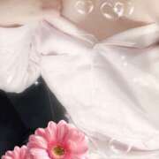 ヒメ日記 2026/02/03 09:00 投稿 ミモザ 飾窓