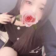 ヒメ日記 2026/02/03 12:00 投稿 ミモザ 飾窓