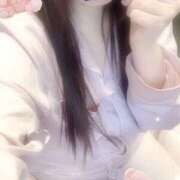 ヒメ日記 2026/02/04 08:40 投稿 ミモザ 飾窓