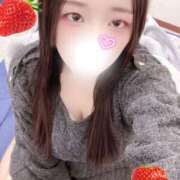 ヒメ日記 2026/02/04 12:00 投稿 ミモザ 飾窓