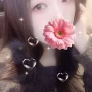 ヒメ日記 2026/02/04 15:00 投稿 ミモザ 飾窓