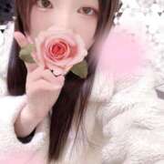 ヒメ日記 2026/02/05 17:00 投稿 ミモザ 飾窓