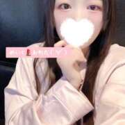 ヒメ日記 2026/02/06 08:34 投稿 ミモザ 飾窓