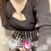 ヒメ日記 2026/02/06 12:00 投稿 ミモザ 飾窓