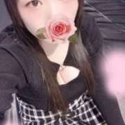 ヒメ日記 2026/02/06 15:00 投稿 ミモザ 飾窓