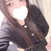 ヒメ日記 2026/02/07 12:00 投稿 ミモザ 飾窓