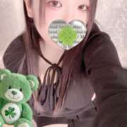 ヒメ日記 2026/02/08 15:00 投稿 ミモザ 飾窓