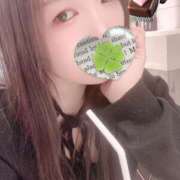 ヒメ日記 2026/02/08 21:50 投稿 ミモザ 飾窓