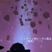 ヒメ日記 2026/02/09 18:20 投稿 ミモザ 飾窓