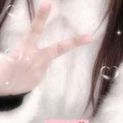 ヒメ日記 2026/02/10 12:01 投稿 ミモザ 飾窓