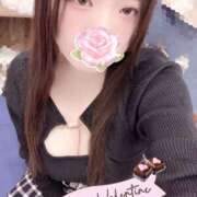 ヒメ日記 2026/02/13 15:00 投稿 ミモザ 飾窓