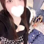 ヒメ日記 2026/02/13 18:30 投稿 ミモザ 飾窓