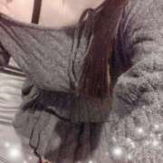 ヒメ日記 2026/02/14 15:21 投稿 ミモザ 飾窓