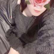 ヒメ日記 2026/02/14 18:30 投稿 ミモザ 飾窓