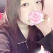 ヒメ日記 2026/02/15 17:00 投稿 ミモザ 飾窓