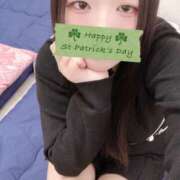 ヒメ日記 2026/02/17 12:00 投稿 ミモザ 飾窓