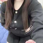 ヒメ日記 2026/02/17 15:00 投稿 ミモザ 飾窓