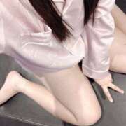 ヒメ日記 2026/02/18 09:10 投稿 ミモザ 飾窓