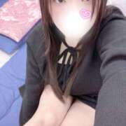 ヒメ日記 2026/02/18 12:00 投稿 ミモザ 飾窓