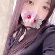 ヒメ日記 2026/02/18 15:04 投稿 ミモザ 飾窓